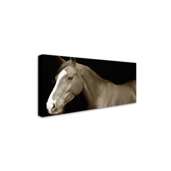 Preston 'Horse Portrait 2' Canvas Art,16x32